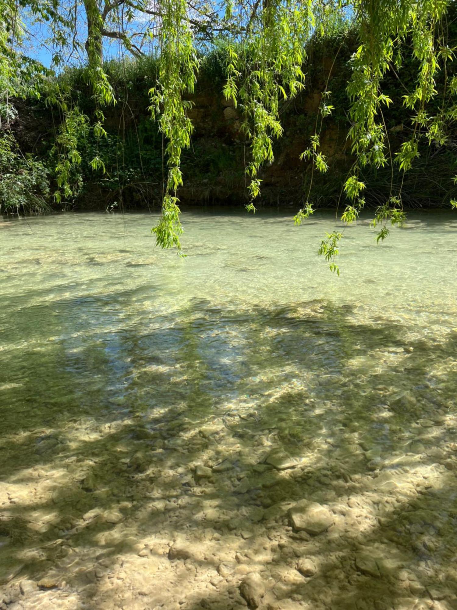 La Belle Riviere Hotel Salernes Bagian luar foto